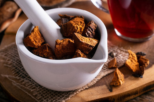 Chaga